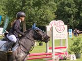Paarden en pony's springen in een mooi decor