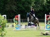 Paarden en pony's springen in een mooi decor