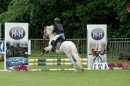 Paarden en pony's springen in een mooi decor