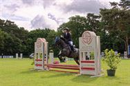 Paarden en pony's springen in een mooi decor