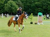 Paarden en pony's springen in een mooi decor
