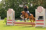Paarden en pony's springen in een mooi decor