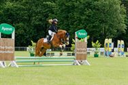 Paarden en pony's springen in een mooi decor