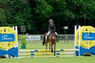 Paarden en pony's springen in een mooi decor