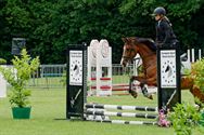 Paarden en pony's springen in een mooi decor