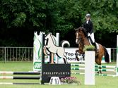 Paarden en pony's springen in een mooi decor