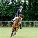 Paarden en pony's springen in een mooi decor