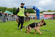 De mooiste Duitse herders op het podium