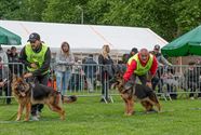 De mooiste Duitse herders op het podium