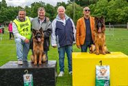 De mooiste Duitse herders op het podium