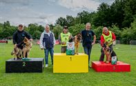 De mooiste Duitse herders op het podium
