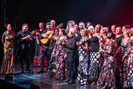 La Juana bracht een grootse flamencoshow