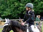 Pony's kunnen ook over de balken springen