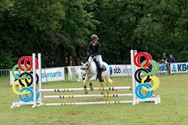 Pony's kunnen ook over de balken springen