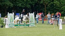 Pony's kunnen ook over de balken springen