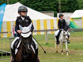 Pony's kunnen ook over de balken springen