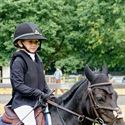 Pony's kunnen ook over de balken springen