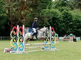 Pony's kunnen ook over de balken springen