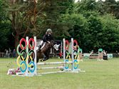 Pony's kunnen ook over de balken springen
