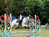Pony's kunnen ook over de balken springen