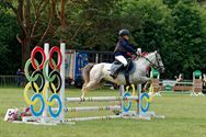 Pony's kunnen ook over de balken springen