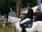 Pony's kunnen ook over de balken springen