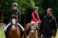 Pony's kunnen ook over de balken springen