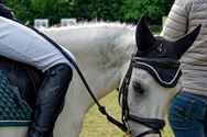 Pony's kunnen ook over de balken springen