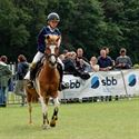 Pony's kunnen ook over de balken springen