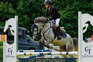 Pony's kunnen ook over de balken springen