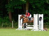 Pony's kunnen ook over de balken springen