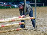 Pony's kunnen ook over de balken springen