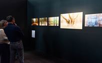 Afgestudeerde fotografen tonen prachtig werk