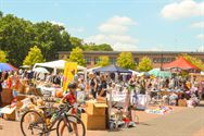 Rommelmarkt maakt van Marktplein tropische plek