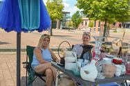 Rommelmarkt maakt van Marktplein tropische plek