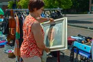 Rommelmarkt maakt van Marktplein tropische plek