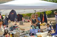 Rommelmarkt maakt van Marktplein tropische plek