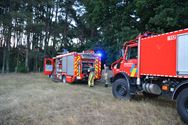 Vuur achter school in Kortstraat snel geblust