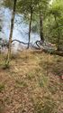 Chiro Boekt voorkomt bosbrand in Merksplas