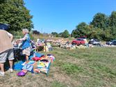 Voor elk wat wils op rommelmarkt in Eversel