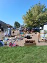 Voor elk wat wils op rommelmarkt in Eversel