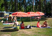 Hoogzomer ook aan openluchtzwembad Terlaemen