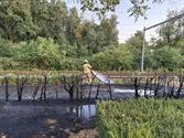 Gras- en haagbrand tot aan spoor in Gompartsstraat