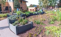 De zintuigen laten prikkelen in de Beleeftuin