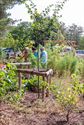 De zintuigen laten prikkelen in de Beleeftuin
