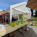 Gele wijk Viversel verzamelde rond de barbecue