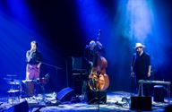 Country Mavericks eert groten van de country
