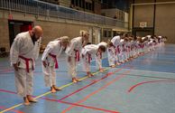 Karateka's dragen roze gordel tegen borstkanker