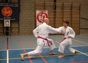 Karateka's dragen roze gordel tegen borstkanker