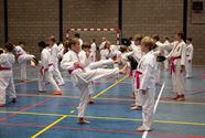 Karateka's dragen roze gordel tegen borstkanker